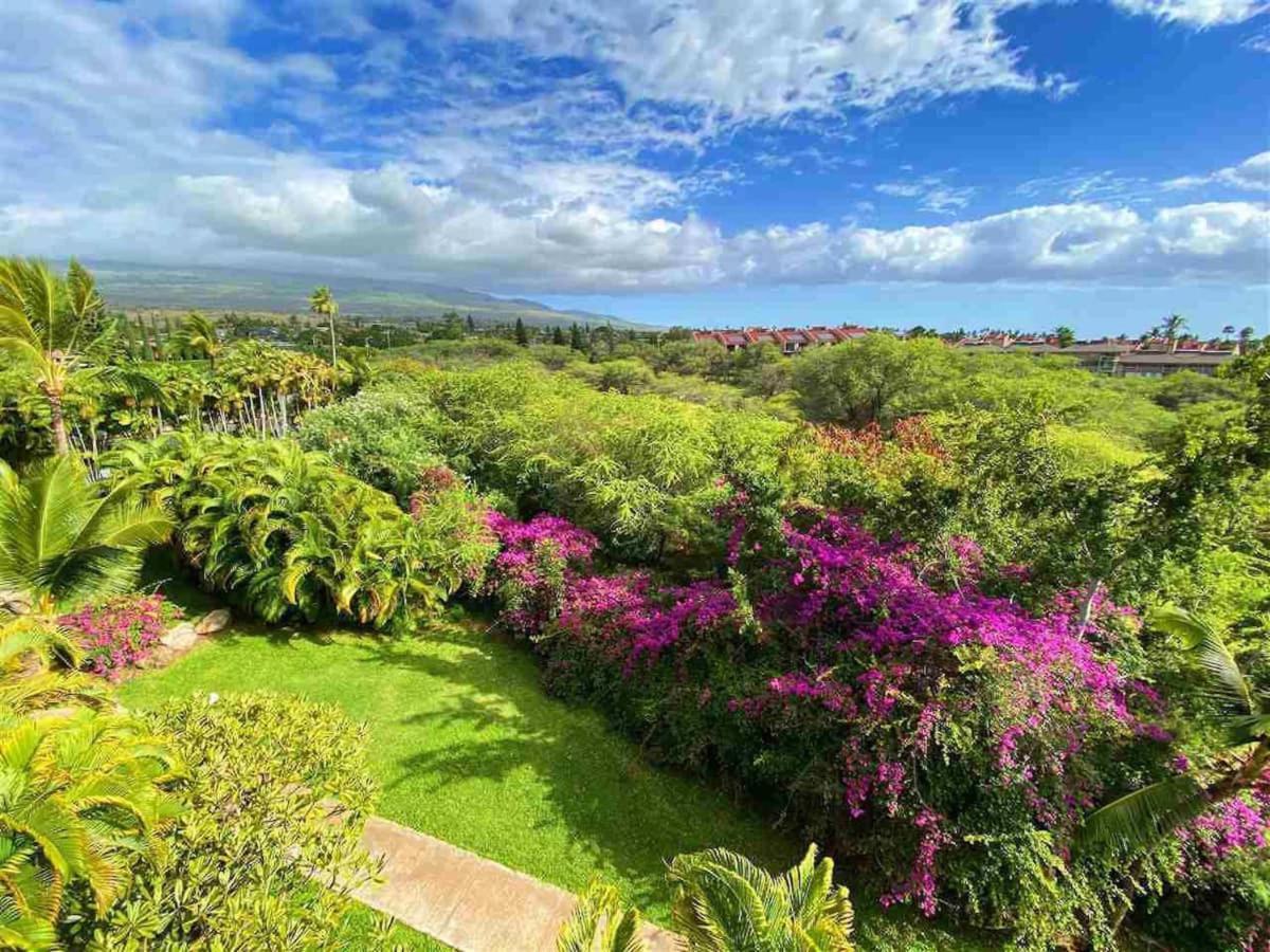 Penthouse 1 Bd King Suite With Ocean Views! Wailea  Esterno foto